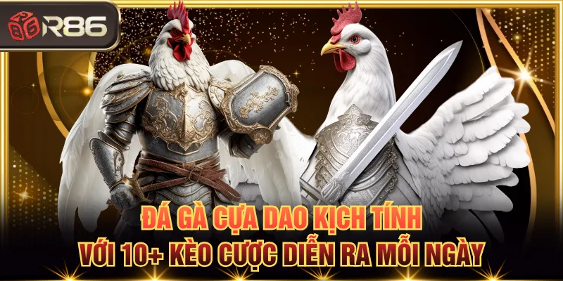 Đá gà cựa dao